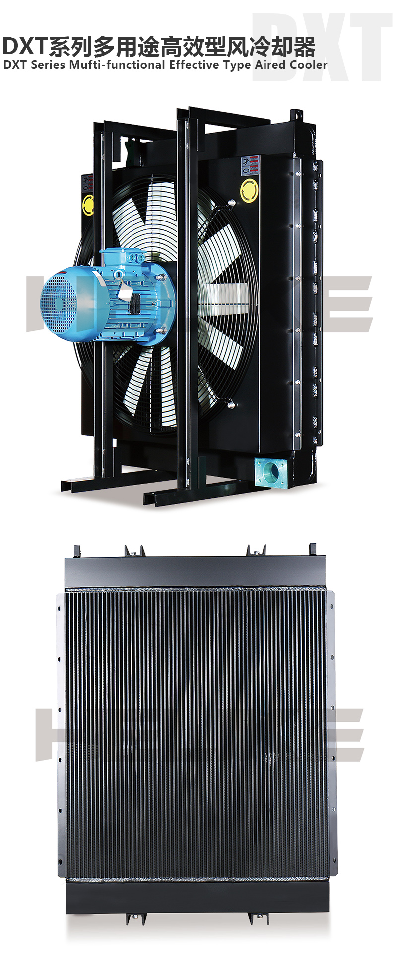 1691109891332244.jpg DXT.jpg